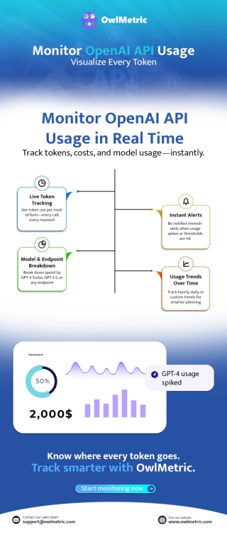 Infographic: Monitor OpenAI API Usage Visualize Every Token