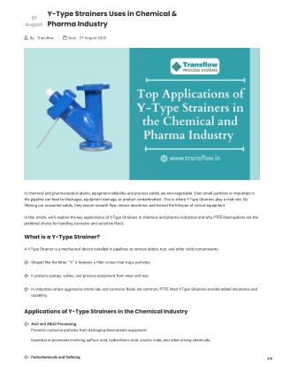 Y-Type Strainers Uses in Chemical & Pharma Industry | Transflow - blog