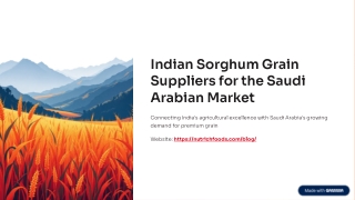 Indian Sorghum Suppliers for Saudi Arabia: Your Guide to Exporting
