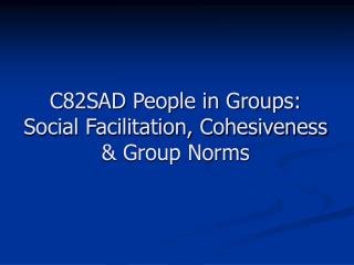norms facilitation social group cohesiveness groups