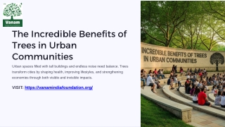 The Incredible Benefits of Trees in Urban Communities and their Impact on Daily Life