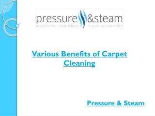 Various Benefits of Carpet Cleaning