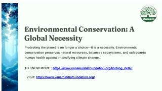 Importance of Environmental Conservation and Its Role in Combating Climate Change