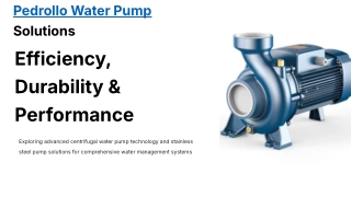 Pedrollo Centrifugal Water Pump & Stainless Steel Pedrollo Pumps for Reliable Wa