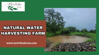 Natural Water Harvesting Farm