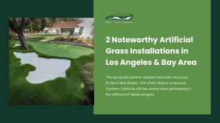 Artificial Turf Installation Los Angeles