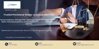 _Trusted Provisional Waiver Lawyer in New York