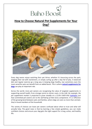 Buho Boost - How to Choose the Best Natural Pet Supplements for Dogs