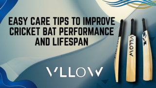 Easy Care Tips to Improve Cricket Bat Performance and Lifespan