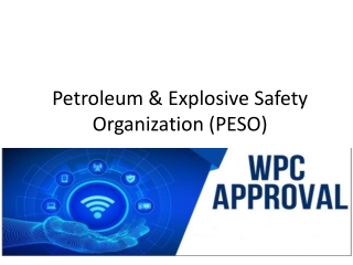 Petroleum & Explosive Safety Organization (PESO)