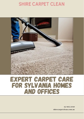 Expert Carpet Care for Sylvania Homes and Offices