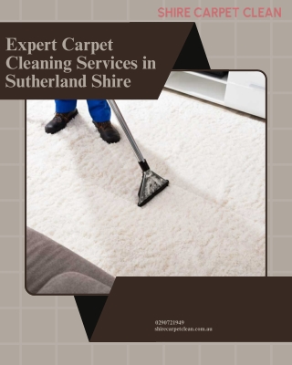 Expert Carpet Cleaning Services in Sutherland Shire