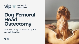 Pain-Free Movement for Pets- The FHO Surgery Explained