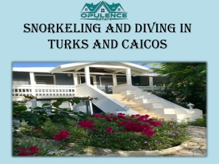 Snorkeling and diving in Turks and Caicos