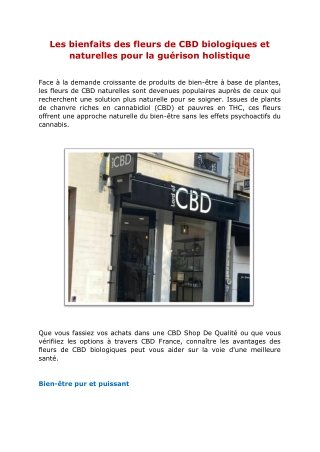 Les bienfaits des fleurs de CBD biologiques et naturelles pour la guérison holistique