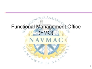 Functional Management Office (FMO)