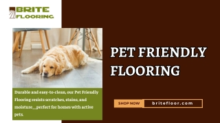 Pet Friendly Flooring