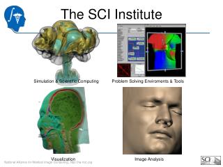 The SCI Institute