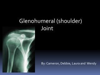 Glenohumeral (shoulder) Joint