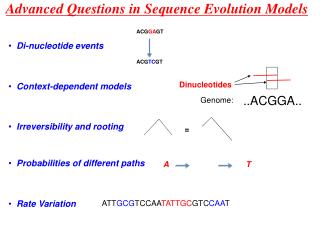 Advanced Questions in Sequence Evolution Models