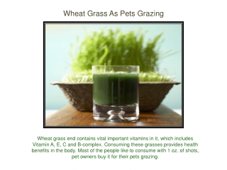Wheat Grass As Pets Grazing
