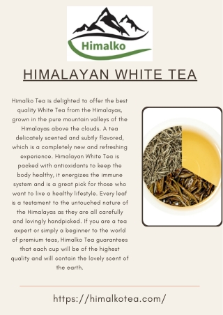 Himalayan White Tea – Pure & Refreshing | Himalko Tea
