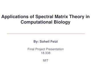 By: Soheil Feizi Final Project Presentation 18.338 MIT