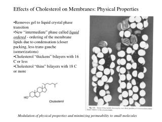 Effects of Cholesterol on Membranes: Physical Properties