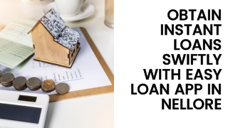 OBTAIN INSTANT LOANS SWIFTLY WITH EASY LOAN APP IN NELLORE 
