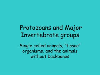 Protozoans and Major Invertebrate groups