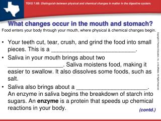 What changes occur in the mouth and stomach?