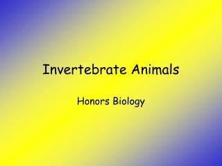Invertebrate Animals