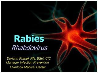 Rabies Rhabdovirus