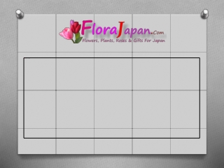 Mothers Day Gift To Japan