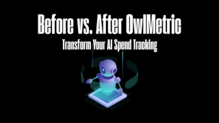 Before vs. After OwlMetric - Transform Your AI Spend Tracking