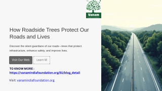 How Roadside Trees Protect Our Roads and Lives