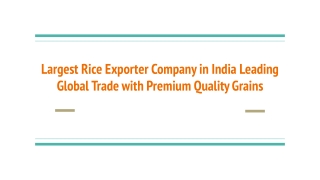 Largest Rice Exporter Company in India Leading Global Trade with Premium Quality Grains