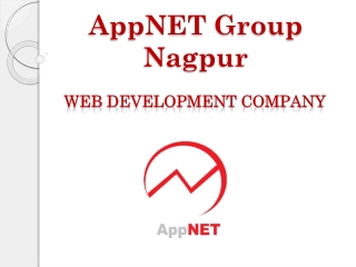 Web Development Company AppNET Group Nagpur