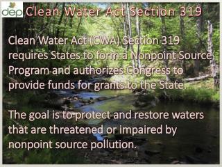 Clean Water A ct S ection 319