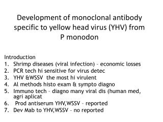 Development of monoclonal antibody specific to yellow head virus (YHV) from P monodon