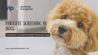 What You Can’t See Can Hurt Your Dog- Understanding Parasite Screening