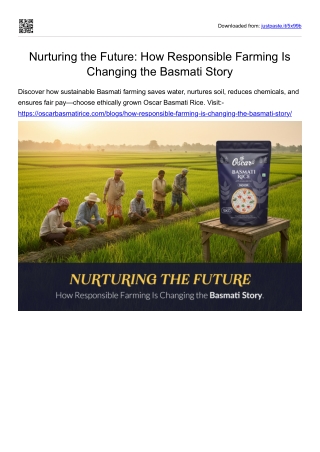 Nurturing the Future: How Responsible Farming Is Changing the Basmati Story