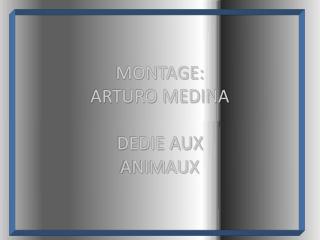 MONTAGE: ARTURO MEDINA DEDIE AUX ANIMAUX