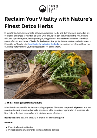 Reclaim Your Vitality with Nature’s Finest Detox Herbs