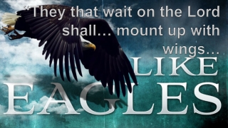 “They that wait on the Lord shall… mount up with wings…