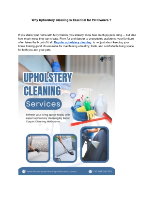 Why Upholstery Cleaning Is Essential for Pet Owners ?