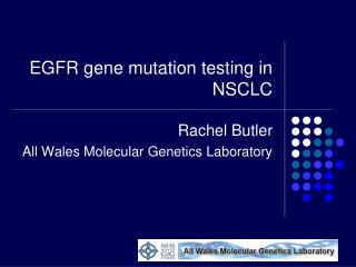 EGFR gene mutation testing in NSCLC