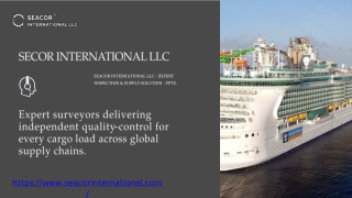 Global Consultancy Services & Company in India, USA & UK – Seacor International (1)