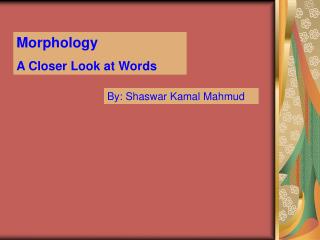 Morphology A Closer Look at Words