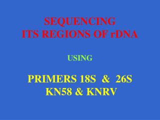 SEQUENCING ITS REGIONS OF rDNA USING PRIMERS 18S &amp; 26S KN58 &amp; KNRV